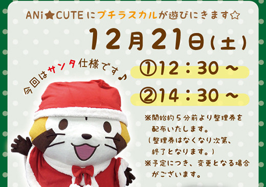 ANi☆CUTE」でラスカルのクリスマスグリーティング開催！｜ニュース＆イベント｜あらいぐまラスカル公式サイト｜あらいぐまラスカル公式サイト